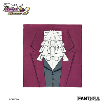 DOWNPAYMENT for Ace Attorney Investigations Door Curtain